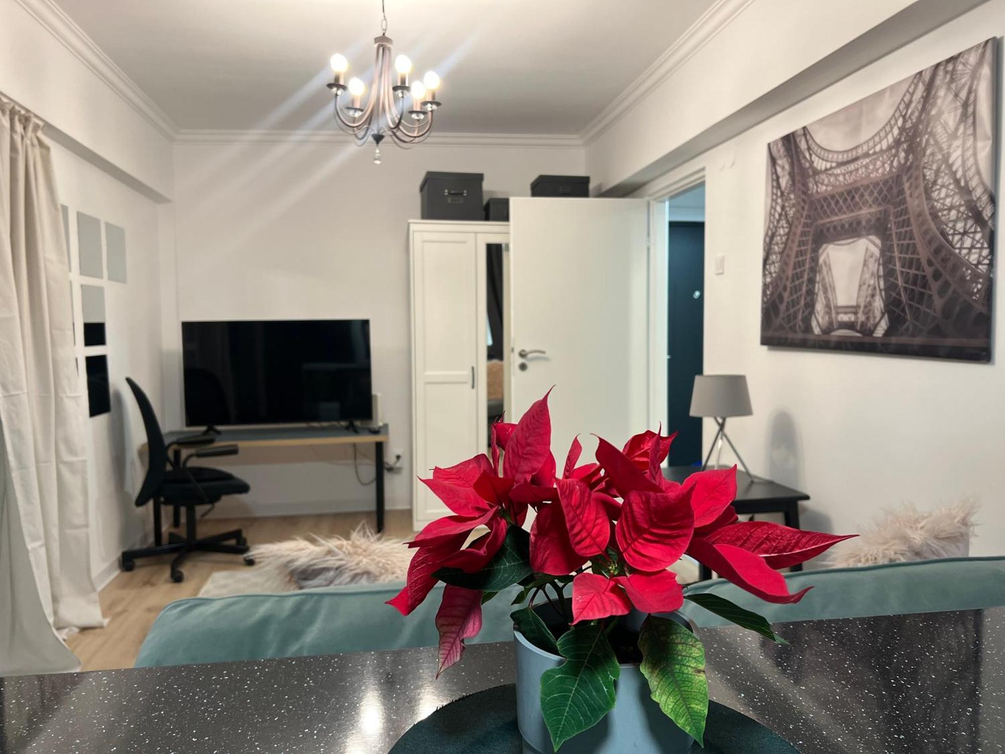 Cosy Studio Floreasca Bucureşti Ngoại thất bức ảnh