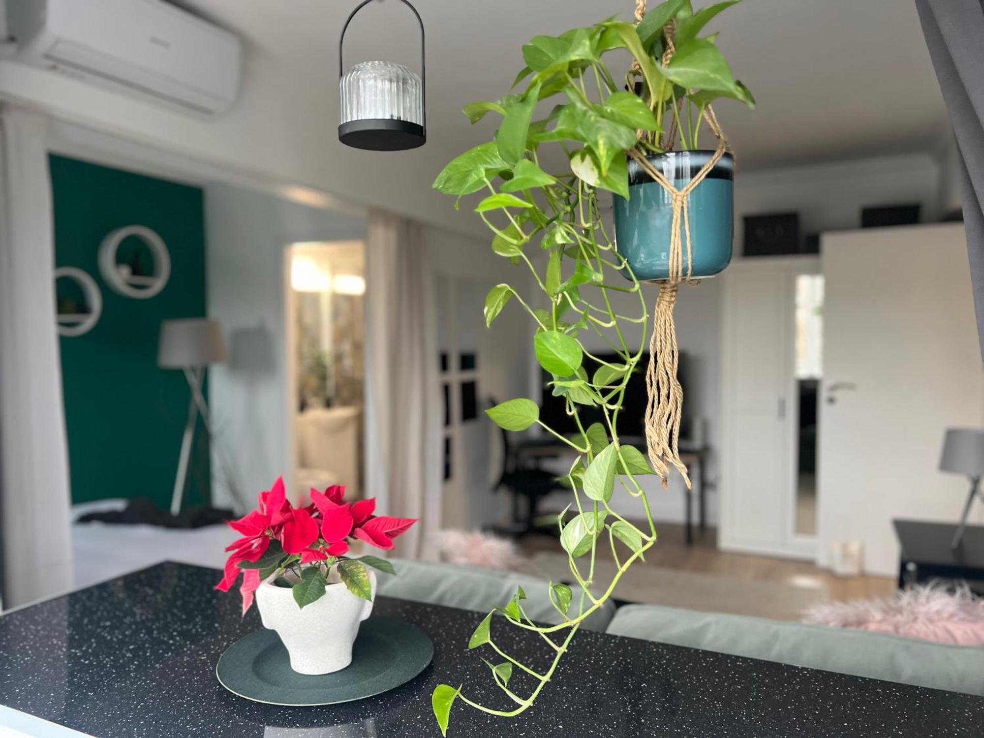 Cosy Studio Floreasca Bucureşti Ngoại thất bức ảnh