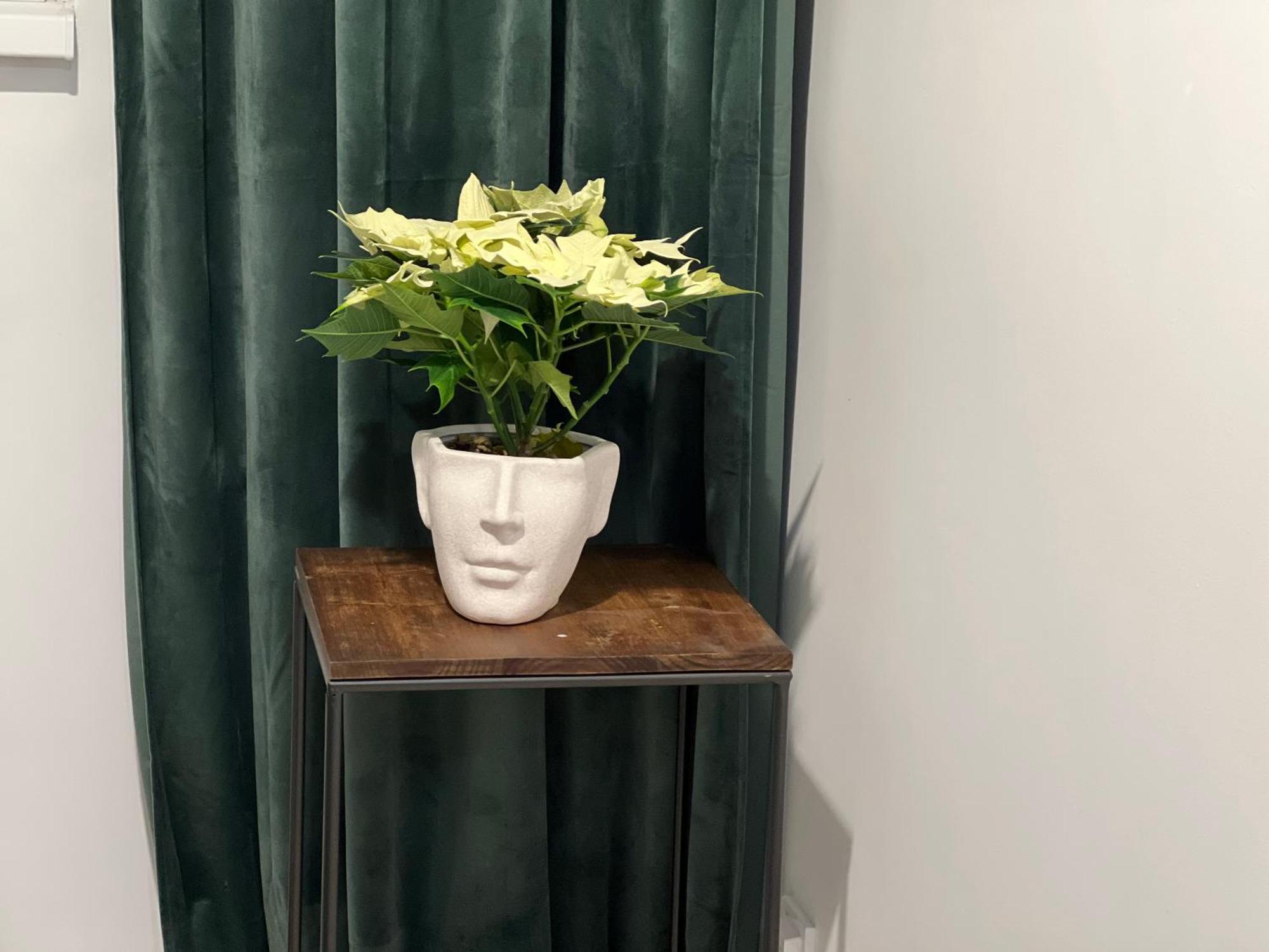 Cosy Studio Floreasca Bucureşti Ngoại thất bức ảnh